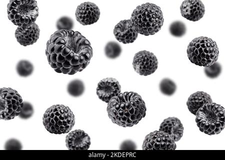 Falling blackberry isolated on white background, selective focus Stock Photo