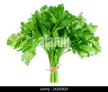 Parsley bunch isolated on white background, clipping path, full depth of field Stock Photo