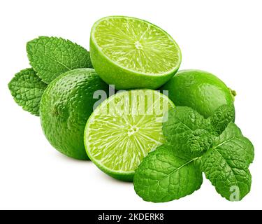 Lime and mint leaves isolated on white background, clipping path, full depth of field Stock Photo