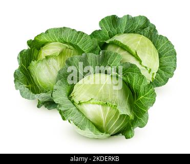 cabbage isolated on white background, clipping path, full depth of field Stock Photo