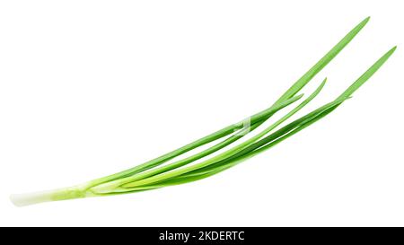 Green onion isolated on the white background, clipping path, full depth of field Stock Photo