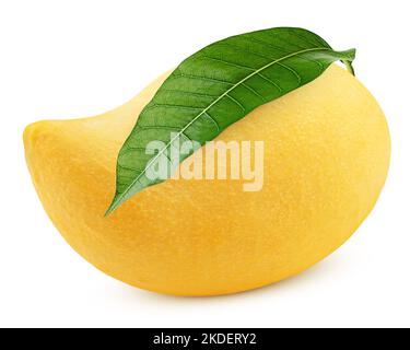 yellow mango isolated on white background, clipping path, full depth of field Stock Photo