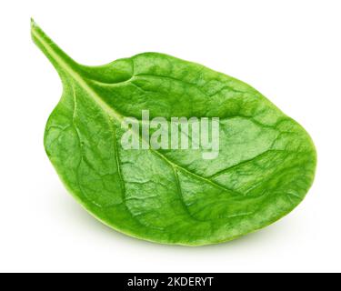 Spinach isolated on white background, clipping path, full depth of field Stock Photo
