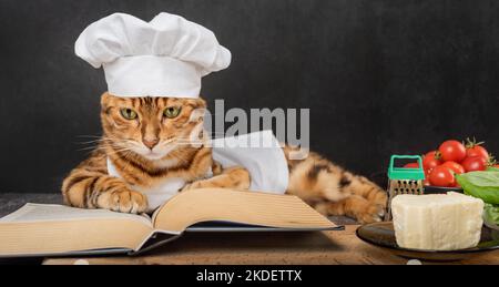 A cute Bengal cat lies next to an open recipe book on a dark background. Stock Photo