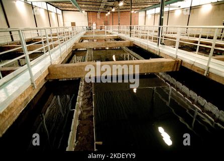 A business in a municipality, a purification plant that purifies water. Stock Photo