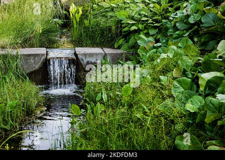 The small waterfall. Park stream among the grass. Stock Photo