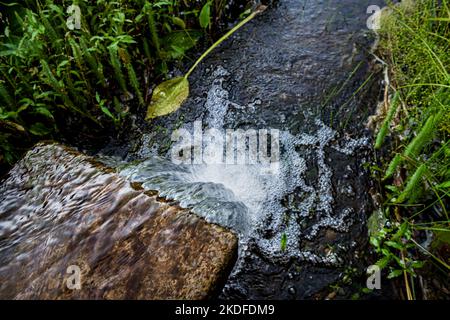 The small waterfall. Park stream among the grass. Top view. Stock Photo