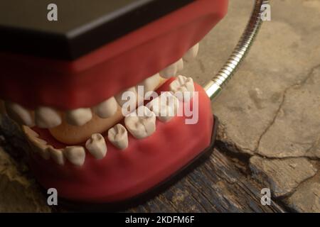 The medical dentures made of acrylic Stock Photo