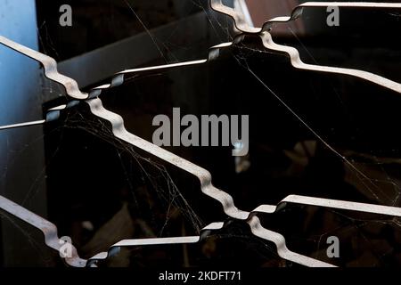 View of a spider web on a metal fence Stock Photo