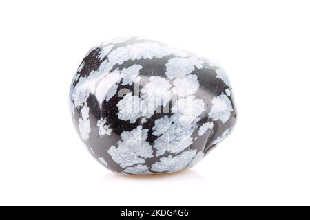 Macro Shooting of Tumbled Snowflake Obsidian Gem Stone with White Mineral Inclusions Isolated on White Background Stock Photo