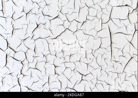 Very cracked white paint peeling from a wall in a derelict building decaying from age and the environment Stock Photo