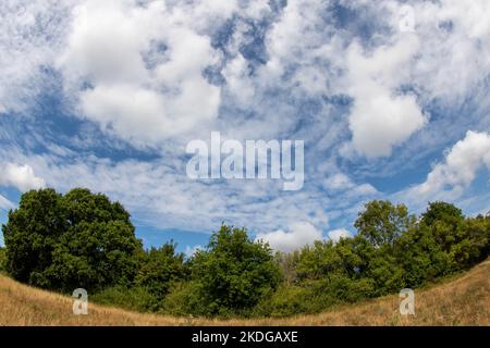 beautiful blue sky with wispy clouds over trees and english countryside taken with a fisheye lens Stock Photo