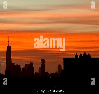 New York, USA. 05th Nov, 2022. People sitting on a roof in Brooklyn in the sunset. One World Trade Center is visible on the left. Credit: Benno Schwinghammer/dpa/Alamy Live News Stock Photo
