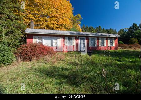 Abandoned cottage in the encroaching woods Stock Photo