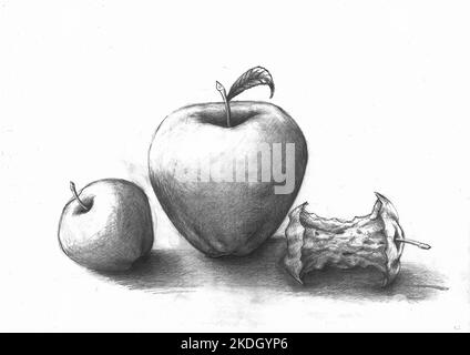 Black and white apples. Charcoal drawing of three apples. Drawn by the photographer. Stock Photo