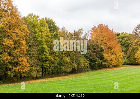 Red-yellow trees in the autumn park. Beautiful seasonal landscape photo Stock Photo