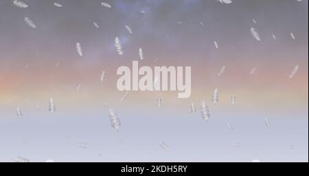 Digital composite of white feathers flying against cloudy sky, copy space Stock Photo