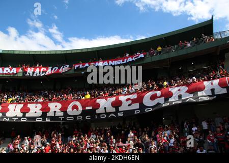 Curitiba, Parana, Brasil. 6th Nov, 2022. Brazilian Soccer Championship: Coritiba vs Flamengo. November 6, 2022, Curitiba, Parana, Brazil: Soccer match between Coritiba and Flamengo valid for the 36th round of Brazilian Soccer Championship, held at Couto Pereira stadium, in Curitiba, Parana, on Sunday (6). Coritiba team won by the score of 1-0, with a penalty goal scored by Alef Manga. As a result, the team remains among the elite of Brazilian Soccer. Credit: Edson de Souza/Thenews2 (Credit Image: © Edson De Souza/TheNEWS2 via ZUMA Press Wire) Stock Photo