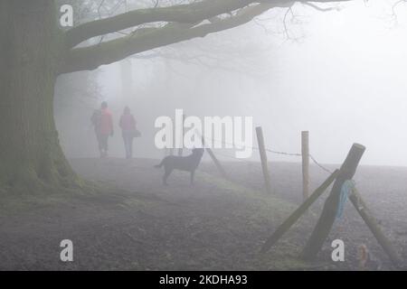 Two Walkers with a Black Labrador Dog Hiking the Sandstone Trail in Cheshire on a Foggy Morning in Winter Stock Photo