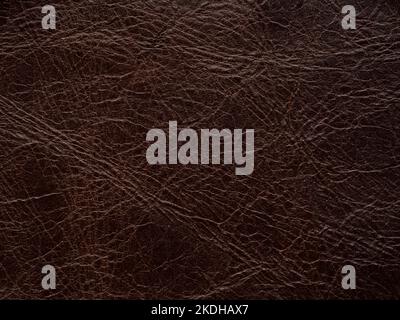 Dark brown leather, skin natural with design lines pattern or red abstract background. Can use wallpaper or backdrop luxury event, design upholstered Stock Photo
