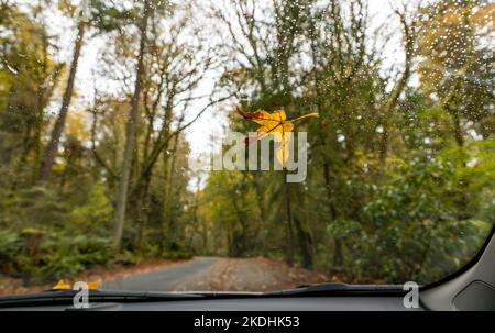 Yellow tree leaf on the car window with raindrops on a rainy fall day with a beautiful autumn landscape in the background Stock Photo