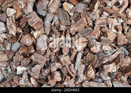 Pine bark mulch background texture, full frame. Used as a soil covering in garden. Stock Photo