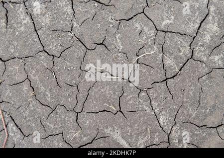 Dehydration depletion of the earth's surface. Concept of global environmental problems. Can be used as grey abstract background with copy space. Stock Photo