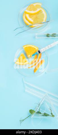 Laboratory glassware with plants and citrus fruits. top view Stock Photo