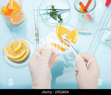 Laboratory glassware with plants and citrus fruits. top view Stock Photo