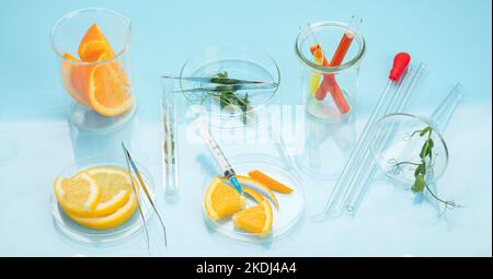 Laboratory glassware with plants and citrus fruits. Stock Photo