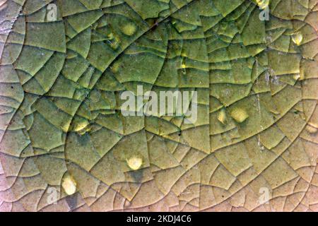 Close up to background and texture of stretch marks cracked on emerald green glazed tile. Scratches background. Vintage scratched grunge tile broken s Stock Photo