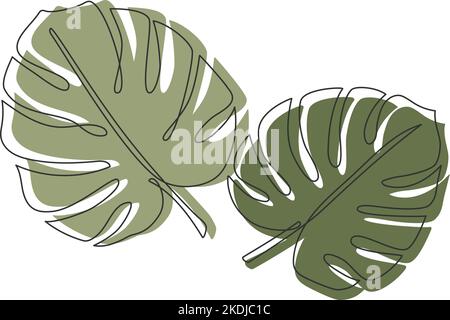 philodendron mayoi variegata Philodendron Florida Beauty Mayoi Albo: rare variegated plant – Green and  White Plants