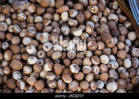 The cut Betel nut or Areca catechu was dry by the sunshine for eating. Stock Photo