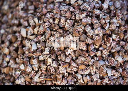 The cut Betel nut or Areca catechu was dry by the sunshine for eating. Stock Photo