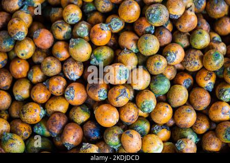 Cut betel nut or Areca nut Stock Photo