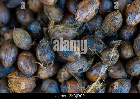 Cut betel nut or Areca nut Stock Photo