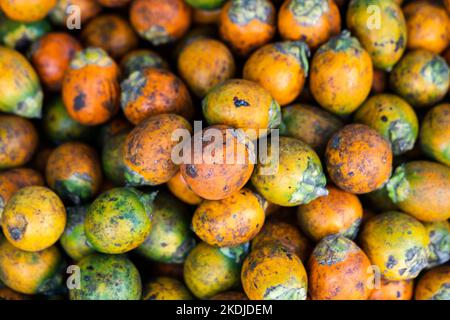 Cut betel nut or Areca nut Stock Photo