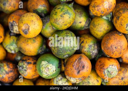 Cut betel nut or Areca nut Stock Photo