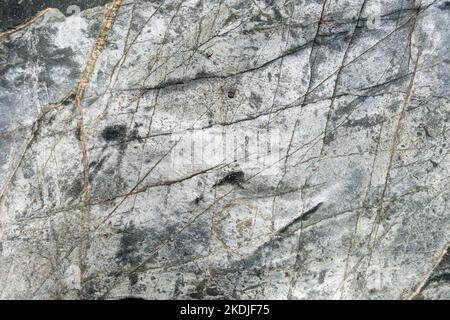 Slate and schist background texture. Closeup view Stock Photo