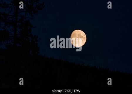 View of beautiful moon over silhouette landscape at Yellowstone park in night Stock Photo