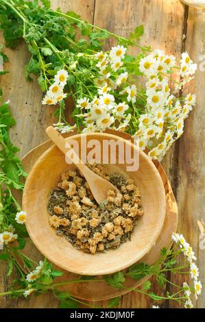 Feverfew flowers and dried in a wooden bowl, aromatic and medicinal plant. Herbal tea with anti-inflammatory, antispasmodic and sedative properties Stock Photo