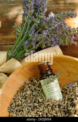 Lavender (Lavandula sp), flower bouquet, dried flowers and essential oil bottle, medicinal plant, benefits Stock Photo