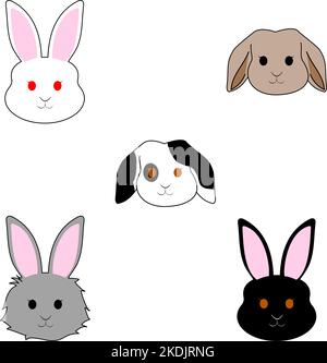bunnies: dwarf rabbit,black rabbit,white rabbit Stock Photo