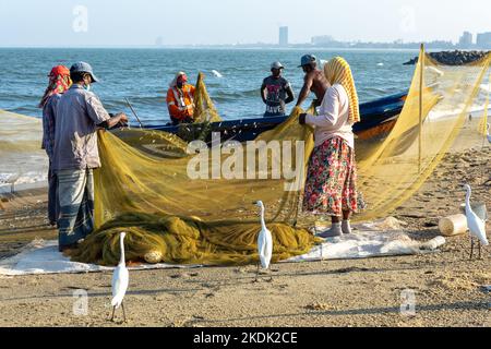 NEGOMBO, SRI LANKA - FEBRUARY 28, 2022: People working with fish on the beach in Negombo, Sri Lanka. Stock Photo