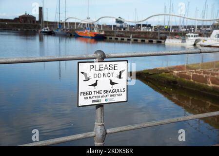 Please Do Not Feed the Seagulls sign, Whitehaven, Cumbria, UK Stock Photo