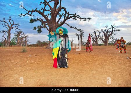 Faux lions, national dance of masks in Senegal, West Africa Stock Photo