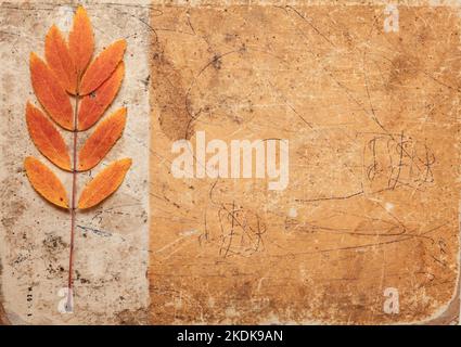 Brown designed grunge background with leaves. Vintage abstract texture Stock Photo