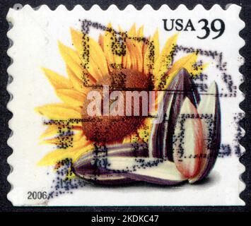 Timbre oblitéré USA , 39, 2006, Tournesol Stock Photo