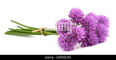 Chives flowers bunch tied isolated on white background Stock Photo