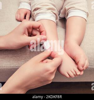 Mother woman sticks a medical adhesive plaster on the toddler baby leg. Mom s hand with sticky wound protection tape and child s foot. Kid aged one ye Stock Photo